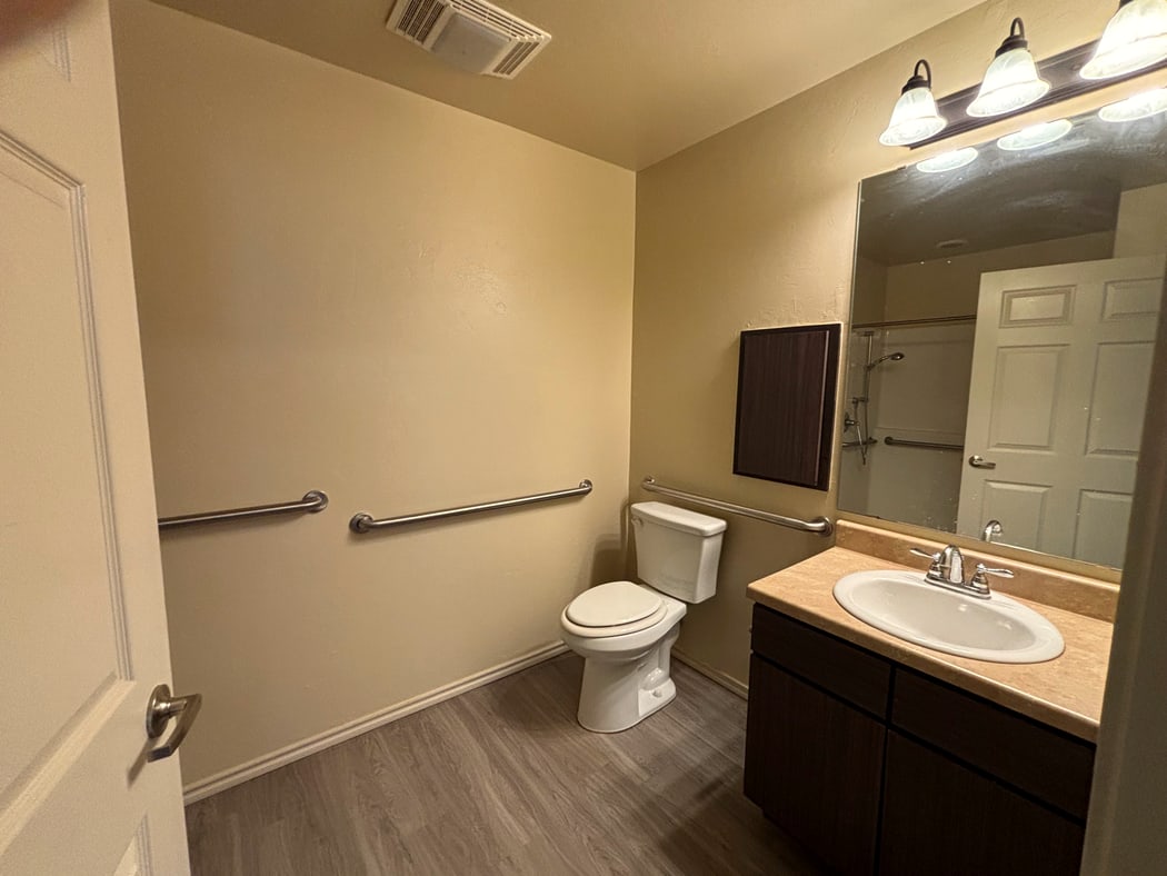 Bathroom with safety grab bars, step-in shower, and vanity